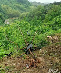 [����]����ɽ·�������г���¼��������ʧ