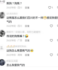 Ц���ˣ�����̩�ݶ���԰�ù�ð����è�����ѣ���ô���ﹷ����