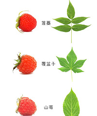 �Թ�����Ķ��������˰�