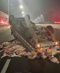 ������һ������ɢ�䡭��