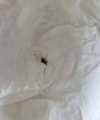 ̨��ͻ��2�������˼��д������֡��ѽ���߷���