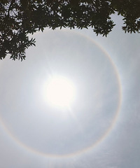 ����ɶ��