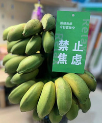 ���Ľ����ֹܲ�ס���������ȣ�զ��