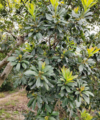 ������÷�������ұ��ض���Ҫ�ڶ�������