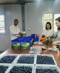 ÿ����۸�ߴ�160Ԫ����һ�����У�̨���ϰ壺������