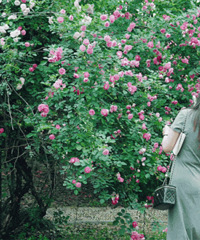 @�ٺ��ˣ���ġ�Ǿ�����ˣ�