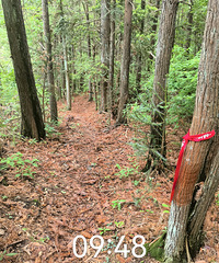 �����������ŵľŶ����ƽ��ž飬��������µ�����ɽ�������