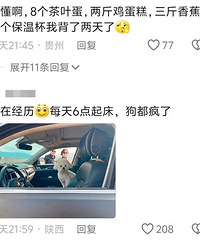 ����ĸ���ε������ˣ��Ѿ��������