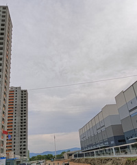 ͩ������˹�Ա�ɶС��