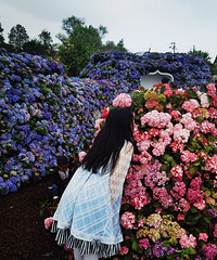 ��2024�μǡ�5.1����˫�����򿨼��˺������绨԰���