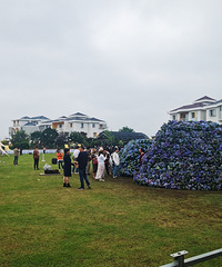 ��2024�μǡ�5.1����˫�����򿨼��˺������绨԰���