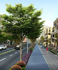 �¸��£������г�ʵ�֡���ͨ��