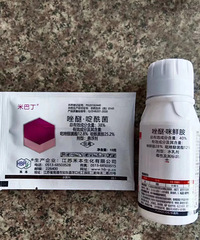 ̨��3�����������ȫ�����У������ھ�Ҳ���꣡���ǻ��ˡ�