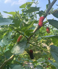 ̨��3�����������ȫ�����У������ھ�Ҳ���꣡���ǻ��ˡ�