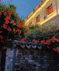 ��ɽҰ�䡿ʮ����ɽԶ����ƽ·��ɳ