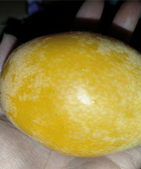 25һ������˹󲻹�