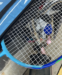 ������ǿ��գ�̼�صľ������׿Ķ���