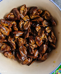 [�����ʲô]ĳ����Ĳ�Ӽ�������������е㲻һ��