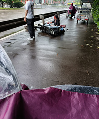 ��·�ϵ綯��ײ�ˣ��������