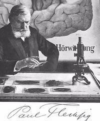 ������������ʹ�Ĺ���