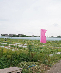 �ƺ��������½�չح����ֵ��ƺ����ĺ��汱��������￪��