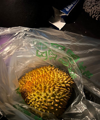 ���۸��᡿������ʵ��������������