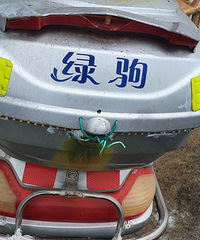 2009���̾ԡ���ӥ�Ŵ�����5��20AǦ���أ������õĺ�