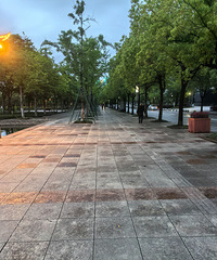 û�б��������ƻ�������㳡������