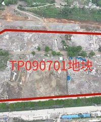 ��6.5����̨��һ��5�ڵؿ齫����|������Ԥ��