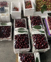 ��һ����ӣ�Ҽ۸�ӭ��������½�