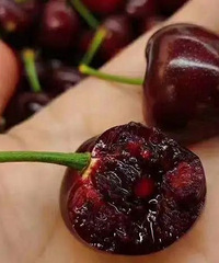 ��һ����ӣ�Ҽ۸�ӭ��������½�