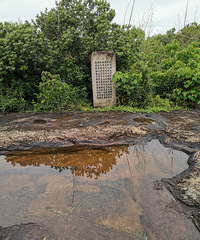 ���㲽�����ţ�·�Ż������Ĵ�Խ���ڶ�