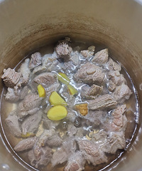 �������ʲô������ţ�⺣������