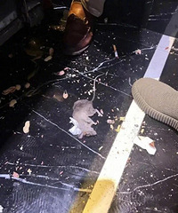 ����KTV���豻����ҧ�ˣ�ֵ�ྭ�������������ɵ�