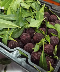 200Ԫ/��㽭�˳��������������ۣ�һ�ؽ�������