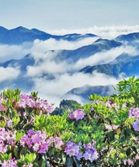 ���µ���̨�������������磺��ݼ��ڵġ��޶��桱�ڵ���