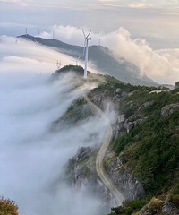 ��ǧ�긮�� �����ٺ������ߡ��㽭ʡʮ���Լݳ����ξ�Ʒ��·��