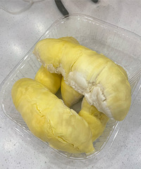 ����ĵ�һ��������Ƥ����