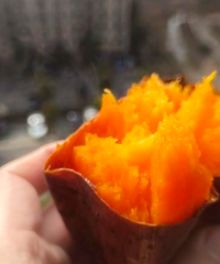 ���ٷ��������ӯ����������ֻ�ϲ��������ˮ����������ô˵