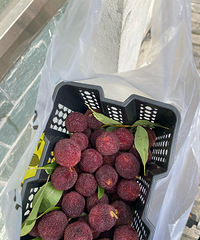 ���ϵĶ�����÷���ó�