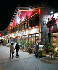 �Ϲ������������ģ������