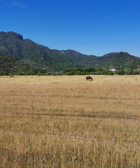 �����ϴ�ɽ�������߳棬�������ѡ����·����