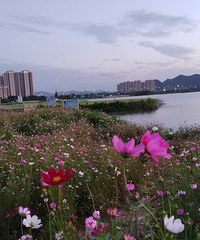 ��ϼ�еķ��������������ˣ�