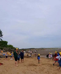 �����ĩ��̨����Щ������ѻ��ۣ�