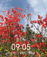 ������������߷����������������Ļ�ɽ�ž�ͻ�ɽ���