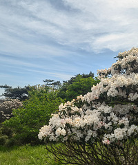 ������������߷����������������Ļ�ɽ�ž�ͻ�ɽ���