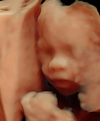 ���6�꣬����ӭ��С������2024�����ռǡ�