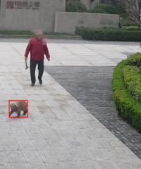 �ϲ飡̨��һ�ؿ����������ŷ�����