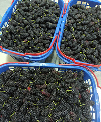 ��ĩ������ʱ�̣�����Ӫ���̲�����ɣ�ظ�