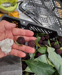 50Ԫһ��3-4������С��̿��÷����Ⱥã�Ӳ�Ⱥá��������